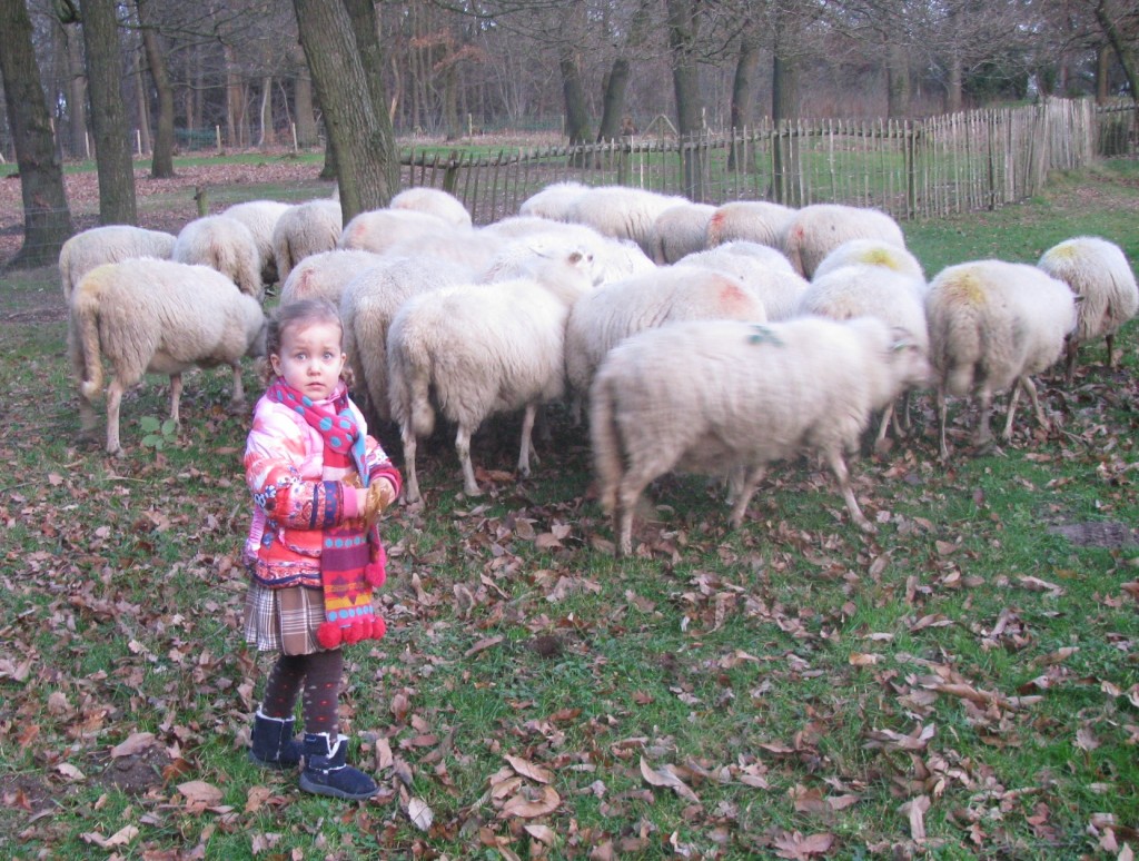 Feest van Licht Museumpark Orientalis