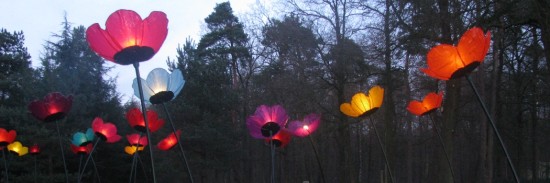 Feest van Licht Museumpark Orientalis